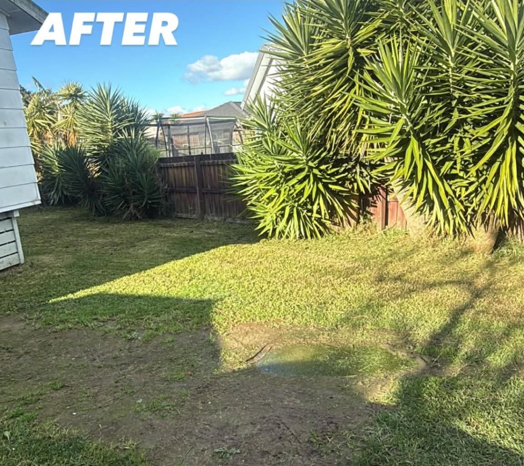 Rear Yard Mow & Tidy — after professional lawn care by Tauwhare Lawn Care Services