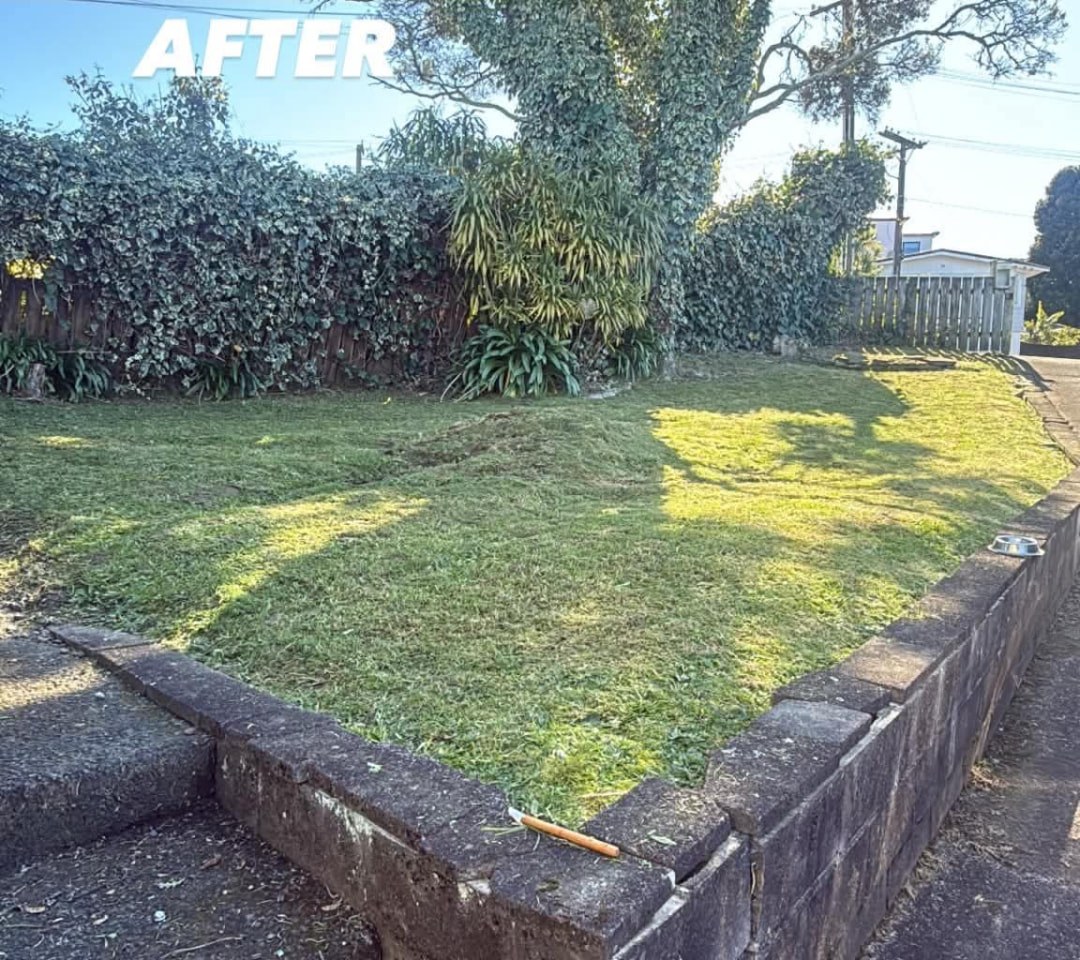 Hedge Line & Lawn Tidy — after professional lawn care by Tauwhare Lawn Care Services