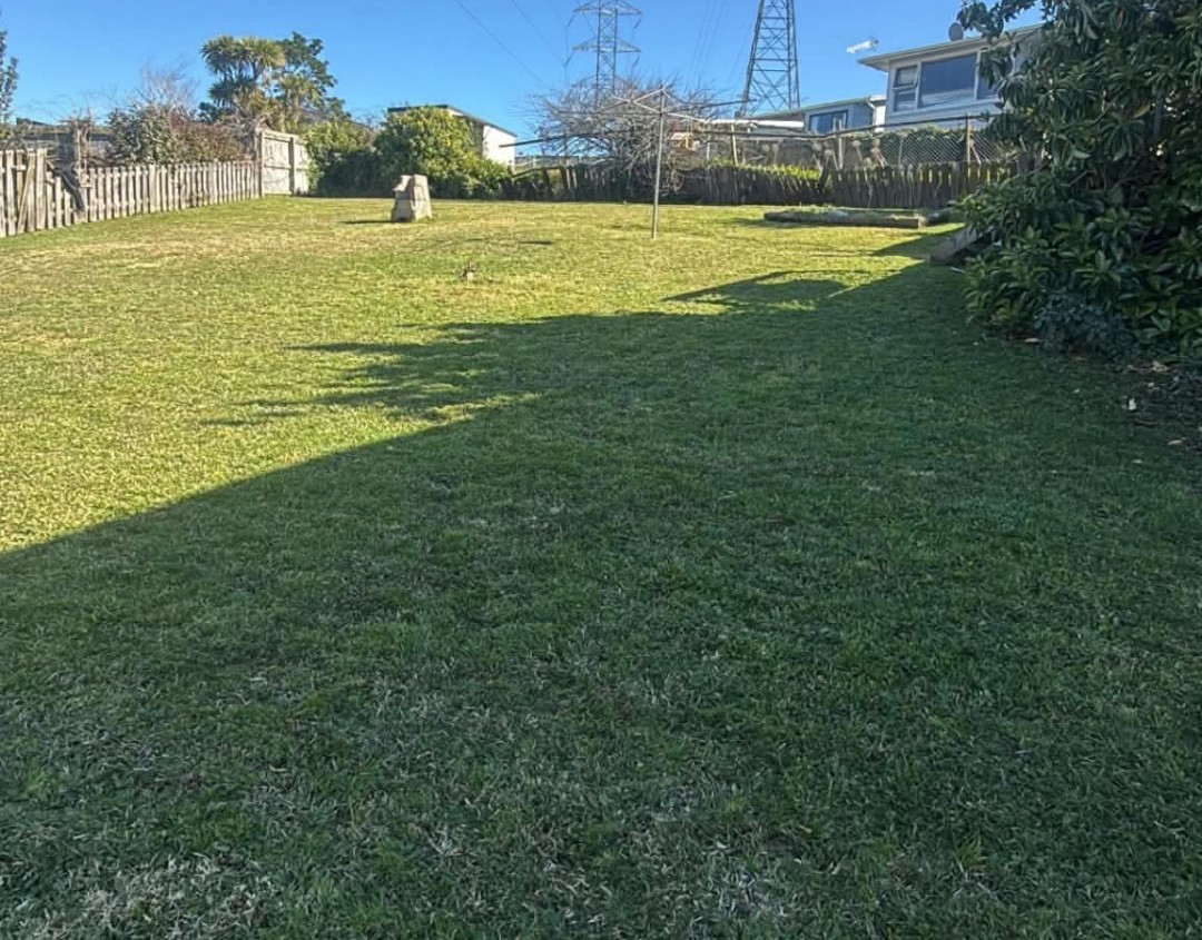 Wide rear lawn cut and tidied on a sunny day by Tauwhare Lawn Care Services