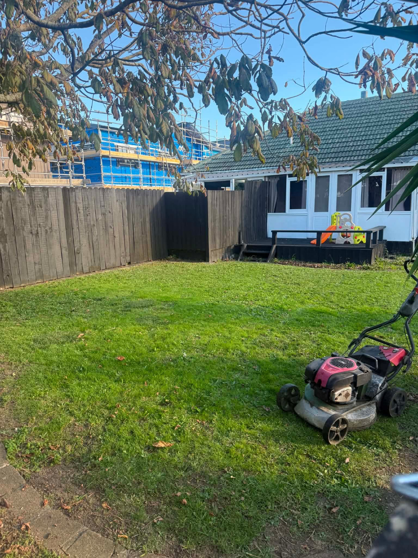 Backyard lawn mowed with mower on site by Tauwhare Lawn Care Services