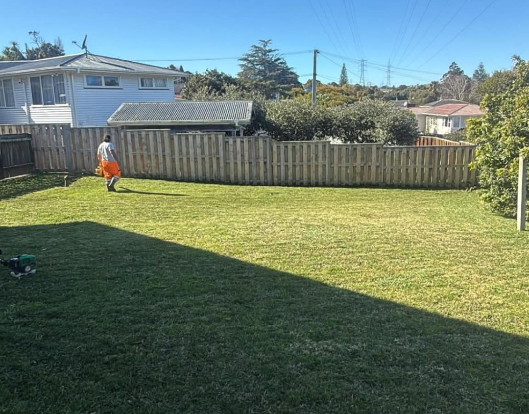 Large back lawn freshly mown to an even, tidy finish