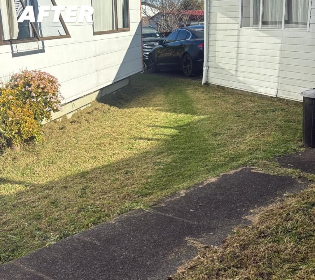 Side Path Lawn Tidy — after professional lawn care by Tauwhare Lawn Care Services