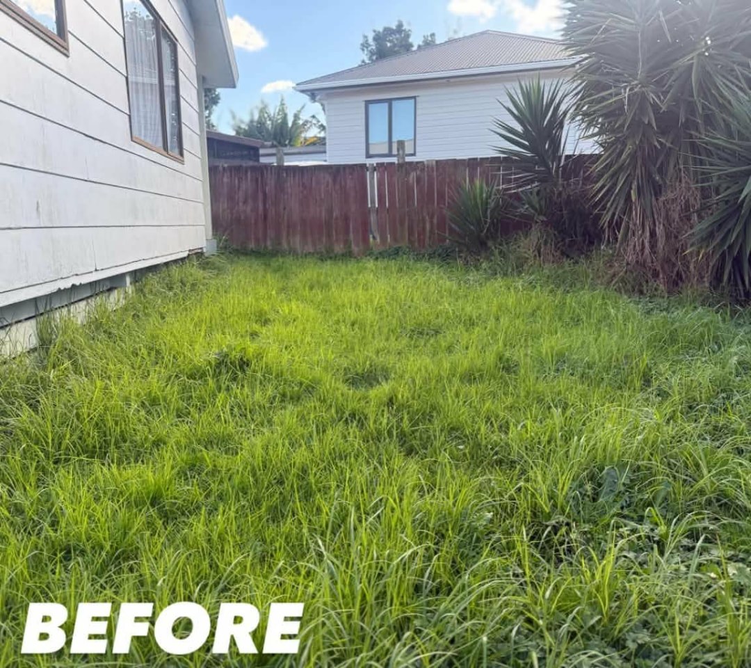 Overgrown Backyard Rescue — before lawn care work