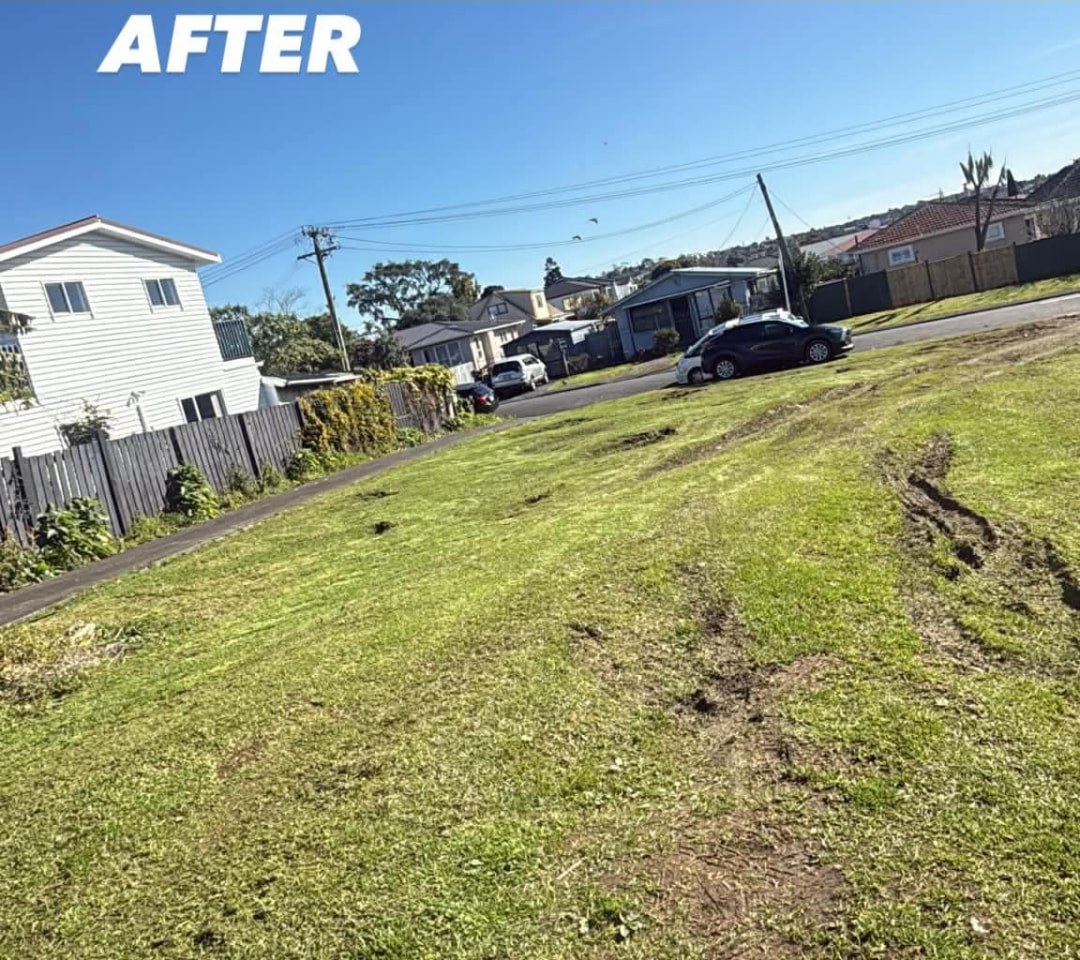 Street Frontage Mow — after professional lawn care by Tauwhare Lawn Care Services