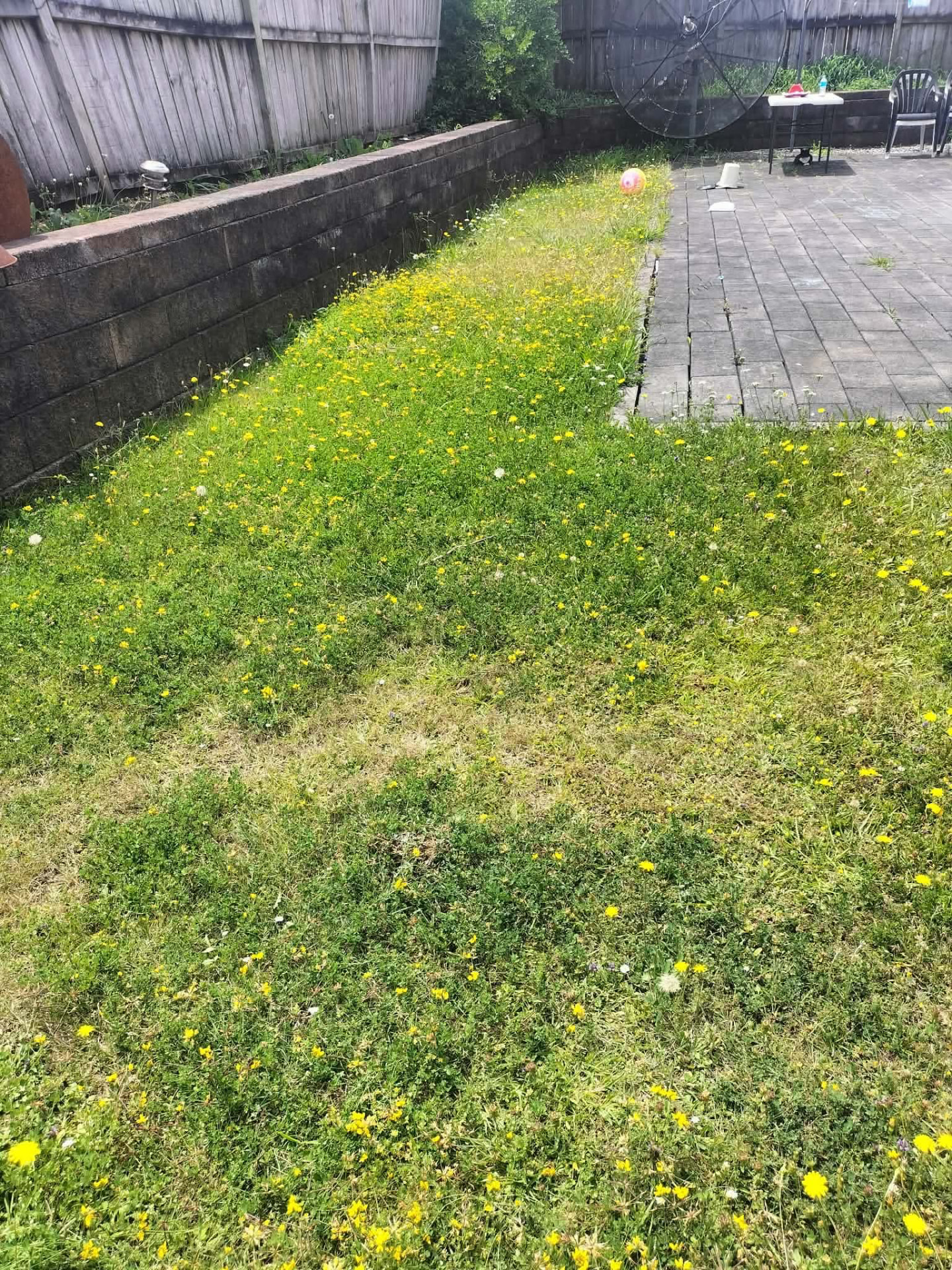 Backyard lawn beside paved patio maintained by Tauwhare Lawn Care Services
