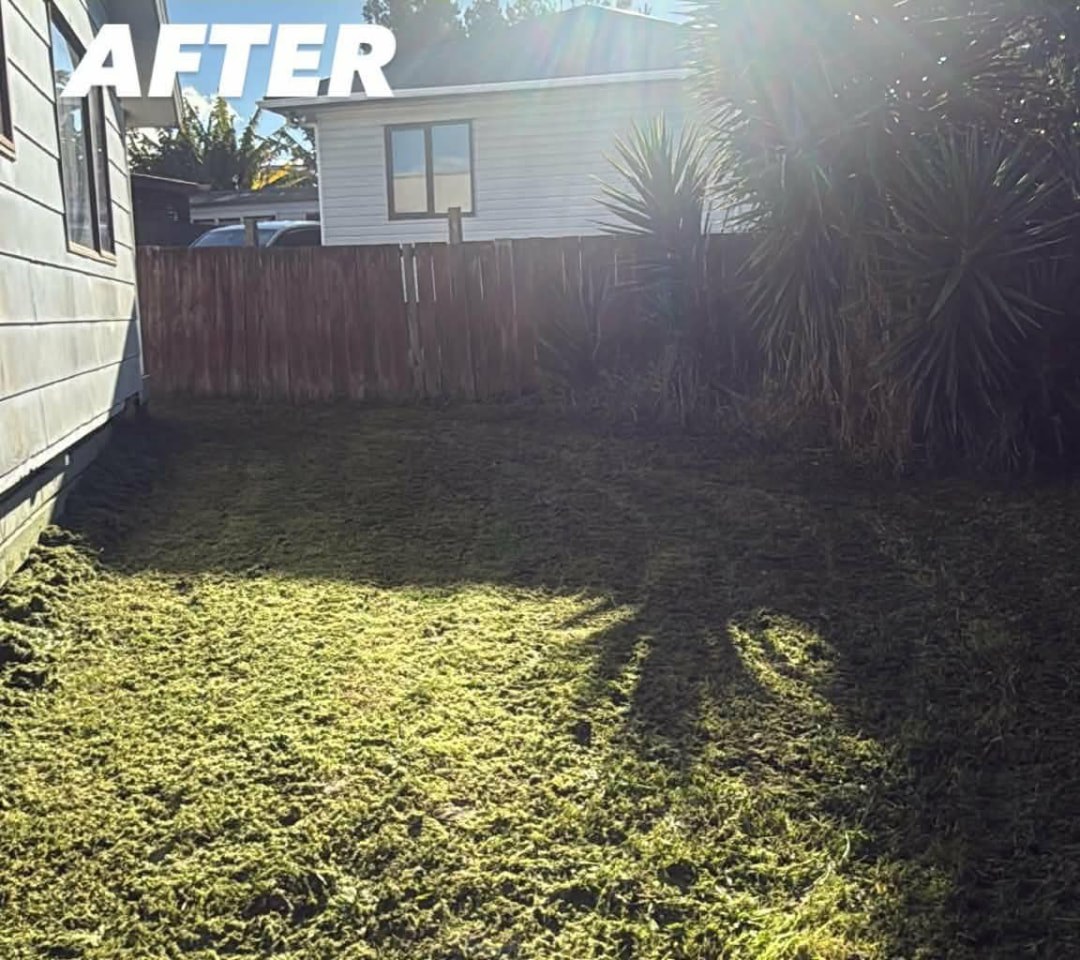 Overgrown Backyard Rescue after photo by Tauwhare Lawn Care Services