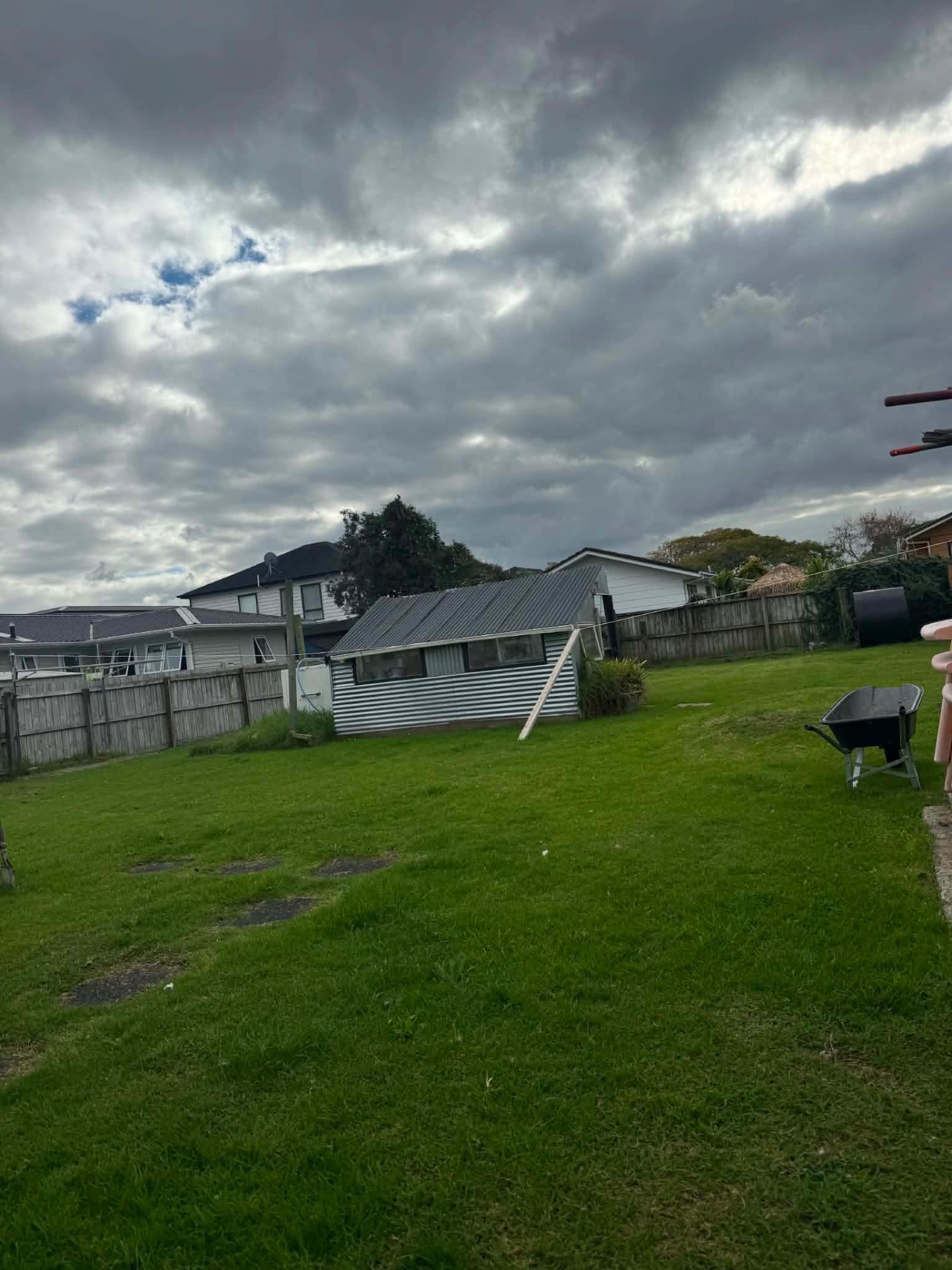 Large back lawn mowed around a garden shed by Tauwhare Lawn Care Services