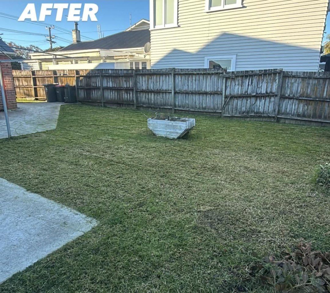 Villa Backyard Clean Up — after professional lawn care by Tauwhare Lawn Care Services