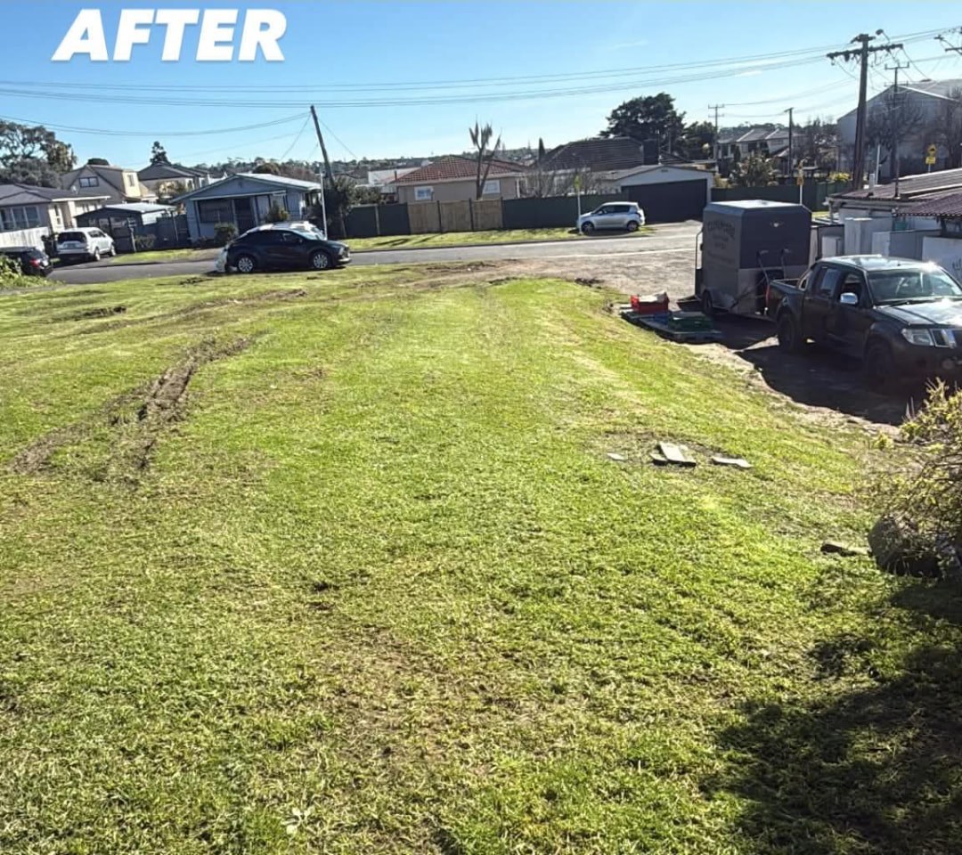 Roadside Verge Clean Up — after professional lawn care by Tauwhare Lawn Care Services