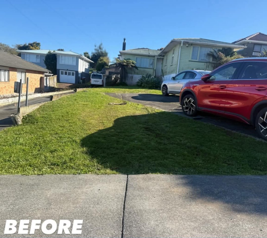 Front Berm Mow — before lawn care work