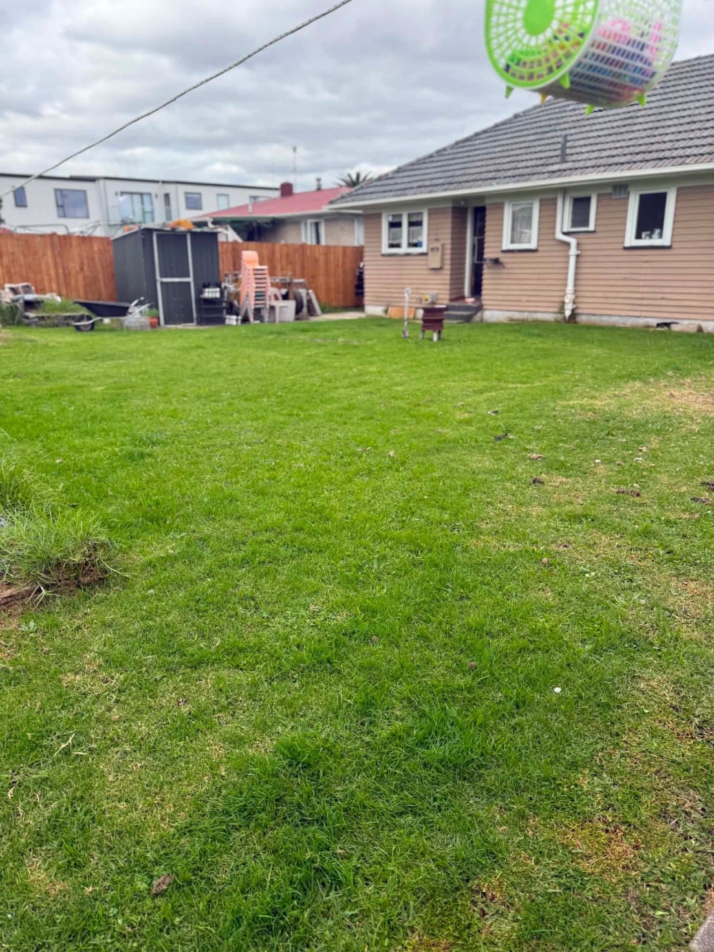 Freshly cut backyard lawn behind a family home by Tauwhare Lawn Care Services