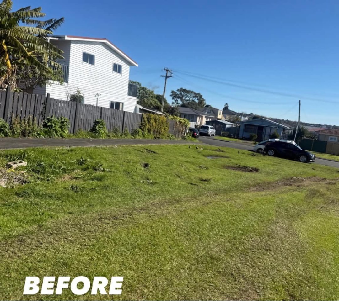 Street Frontage Mow — before lawn care work