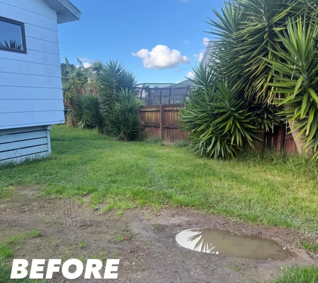 Rear Yard Mow & Tidy — before lawn care work