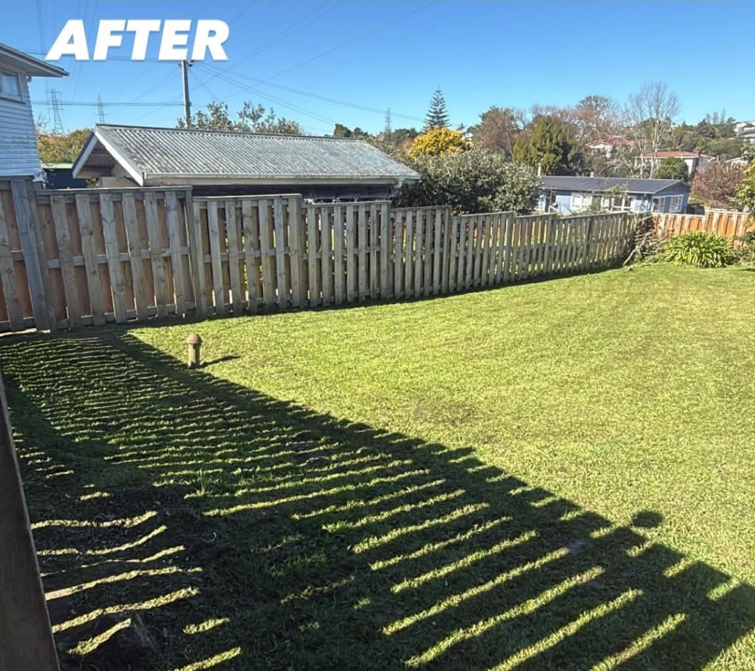 Boundary Fence Lawn Mow — after professional lawn care by Tauwhare Lawn Care Services