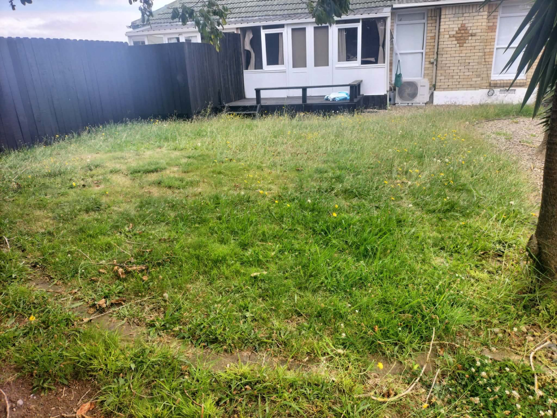 Long backyard grass ready for mowing by Tauwhare Lawn Care Services