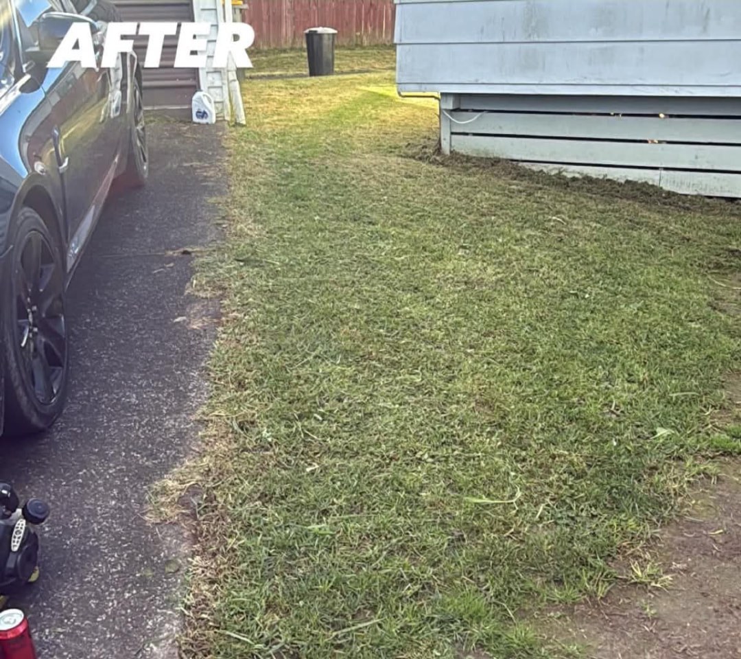 Side Lawn Mow — after professional lawn care by Tauwhare Lawn Care Services
