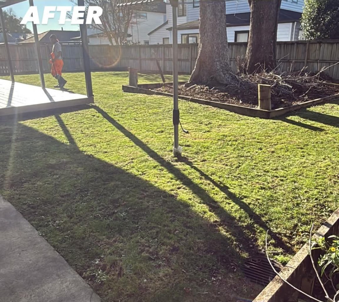Patio Lawn & Garden Bed Clean Up — after professional lawn care by Tauwhare Lawn Care Services