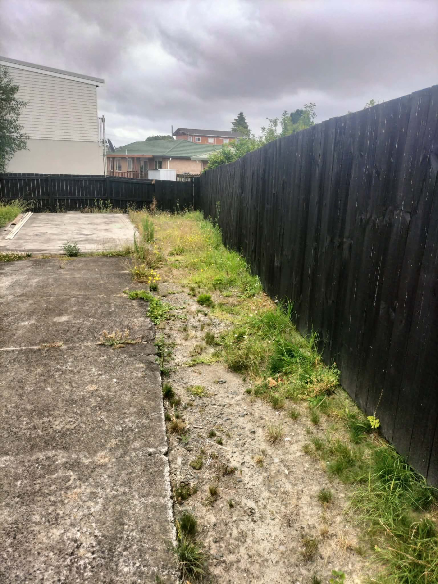 Overgrown fence line and concrete area cleared by Tauwhare Lawn Care Services