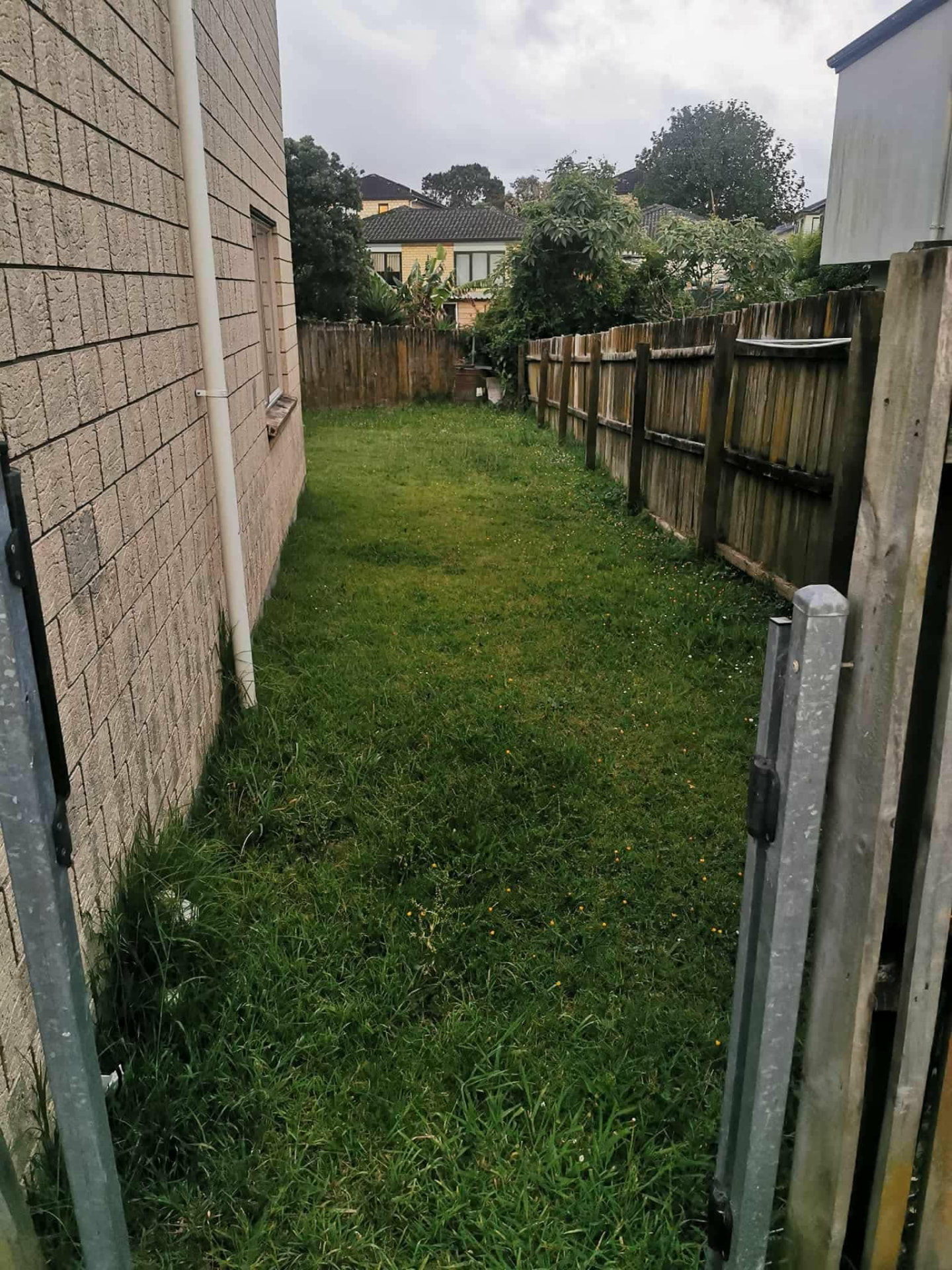 Narrow side lawn mowed by Tauwhare Lawn Care Services