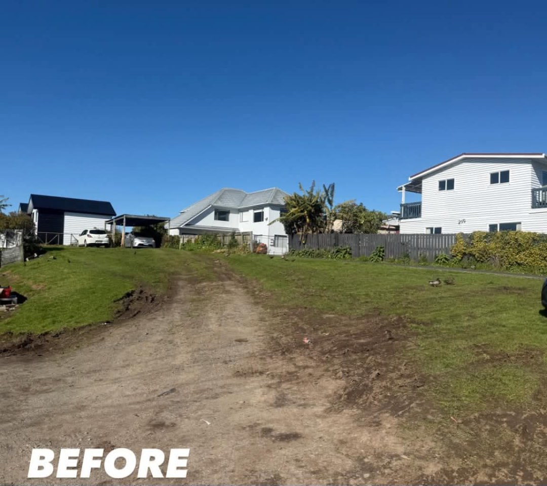 Driveway Verge Tidy — before lawn care work