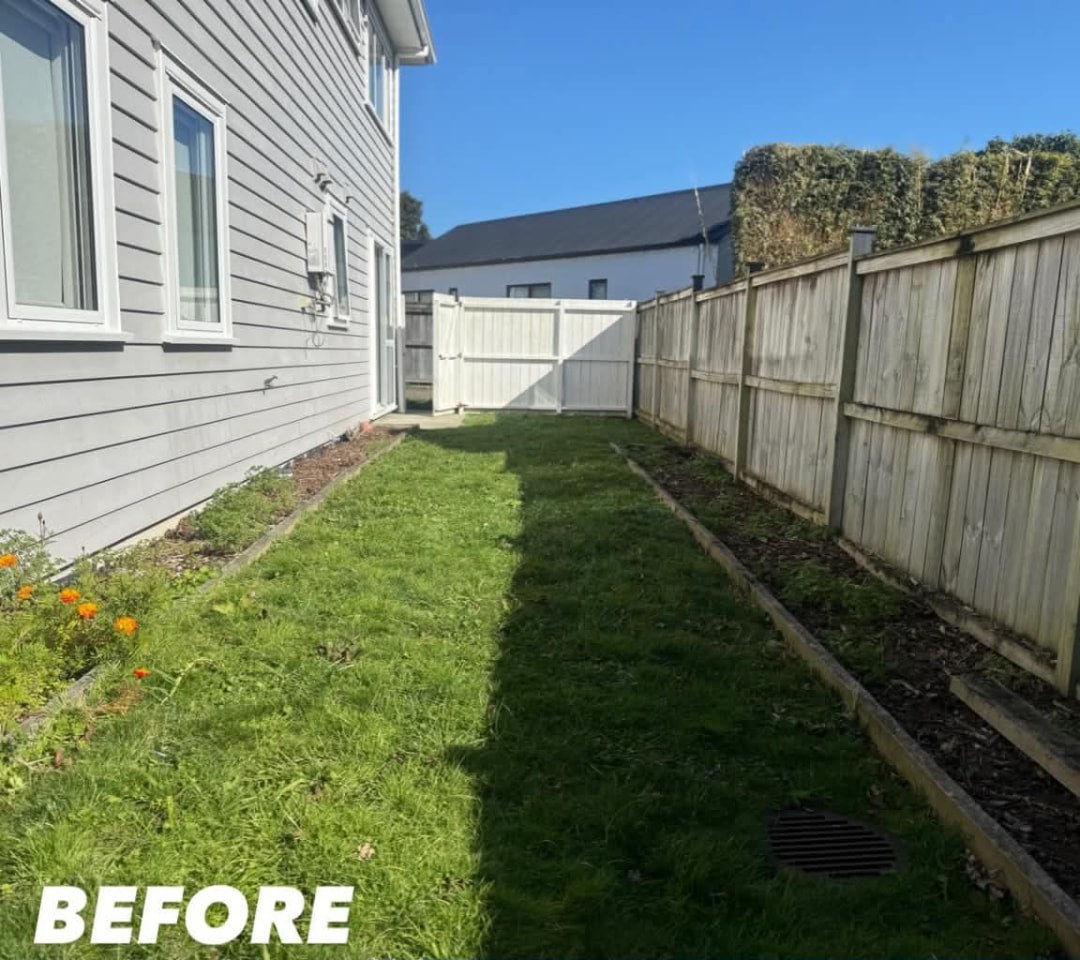 Narrow Side Lawn Tidy — before lawn care work