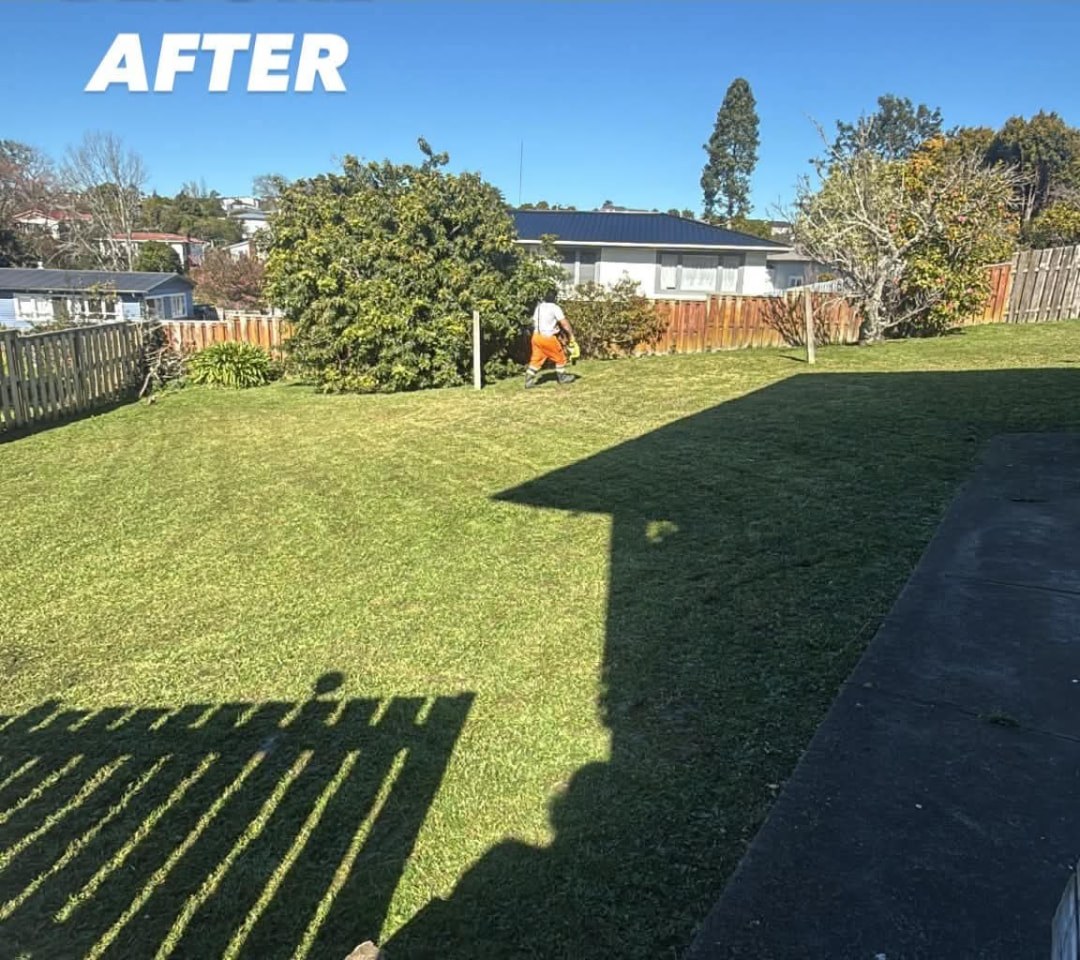 Backyard Mow & Trim — after professional lawn care by Tauwhare Lawn Care Services