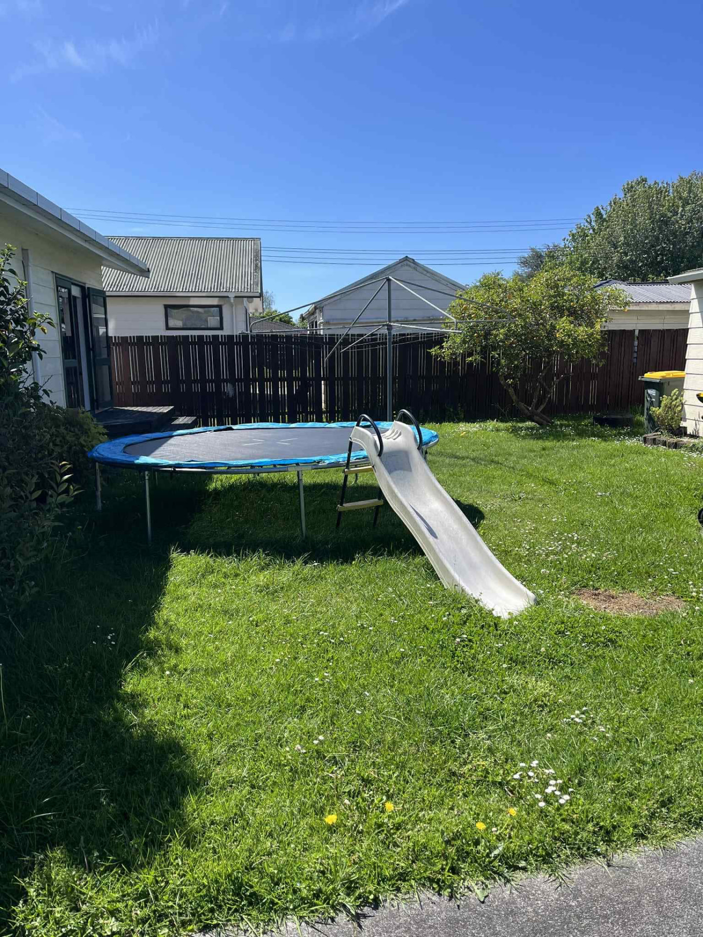 Backyard trampoline lawn cut by Tauwhare Lawn Care Services