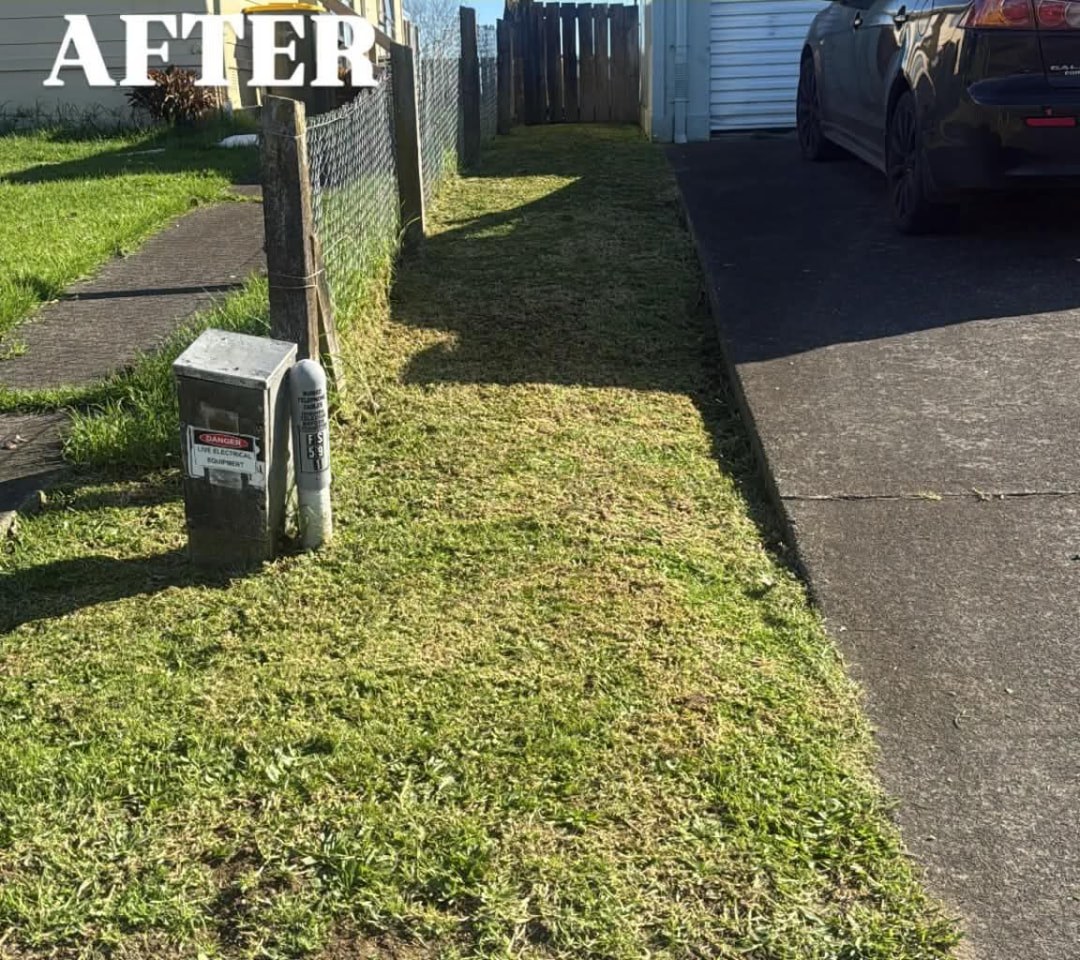 Driveway Strip Tidy — after professional lawn care by Tauwhare Lawn Care Services
