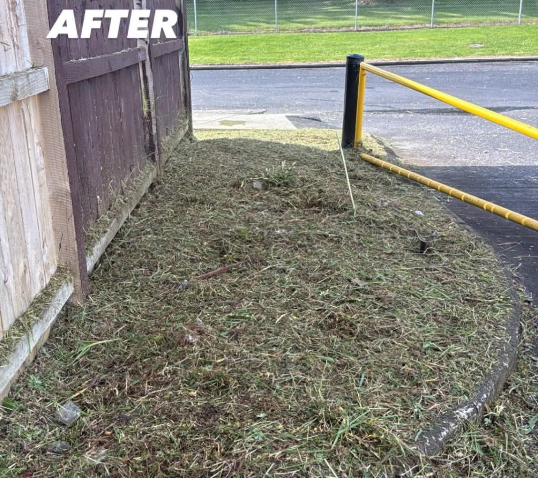 Commercial Fence Line Clear after photo by Tauwhare Lawn Care Services