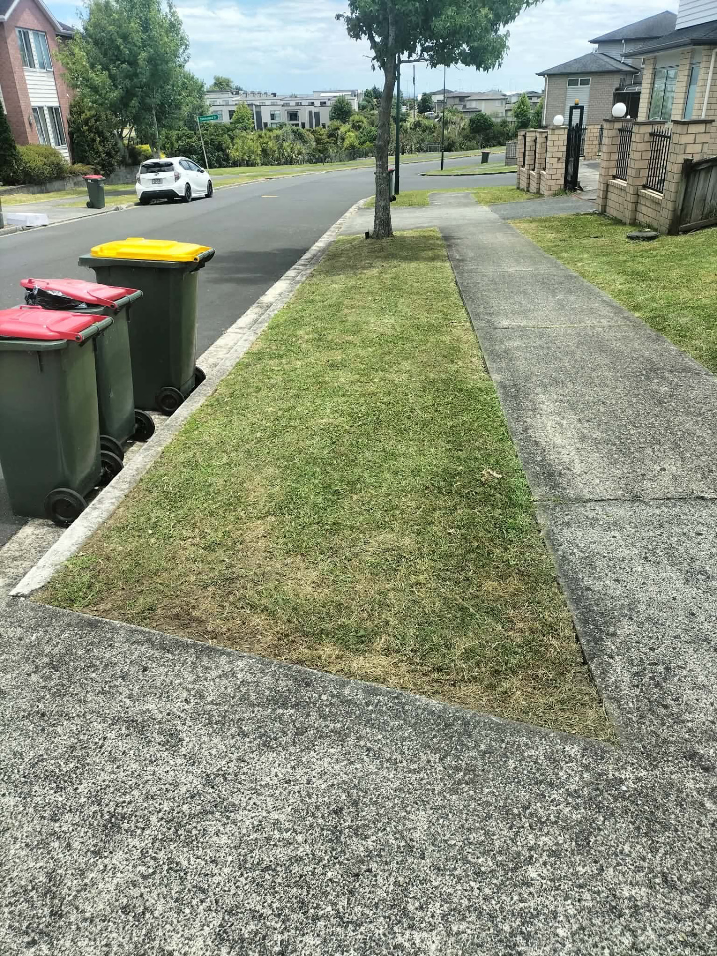 Street berm freshly mowed beside the kerb by Tauwhare Lawn Care Services