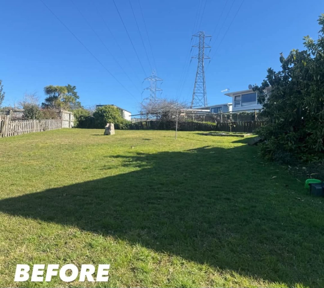 Open Back Lawn Mow — before lawn care work