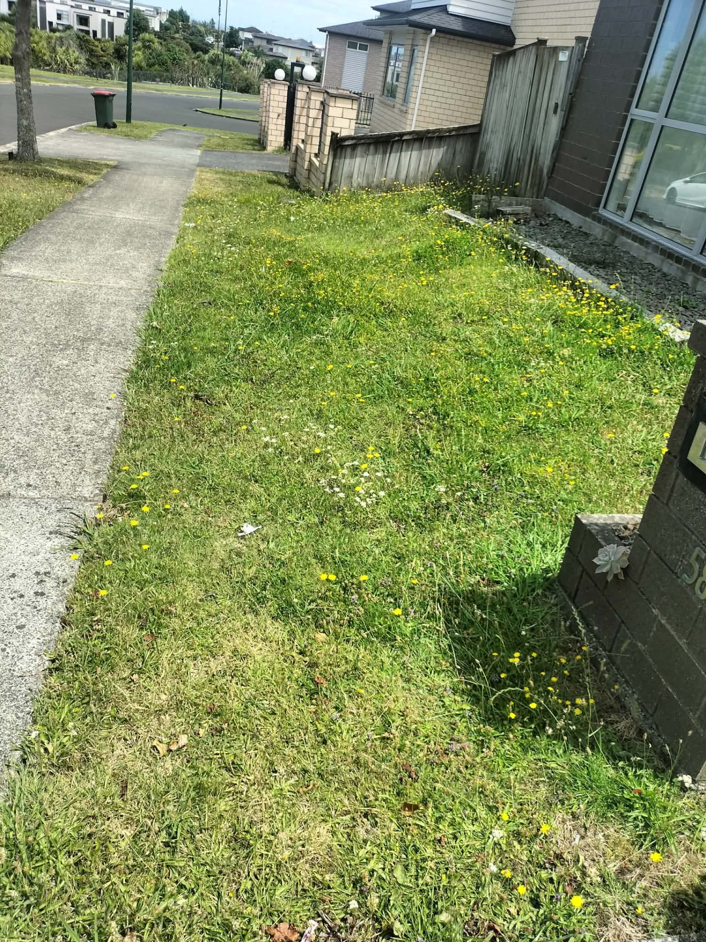 Street berm and front lawn tidied by Tauwhare Lawn Care Services