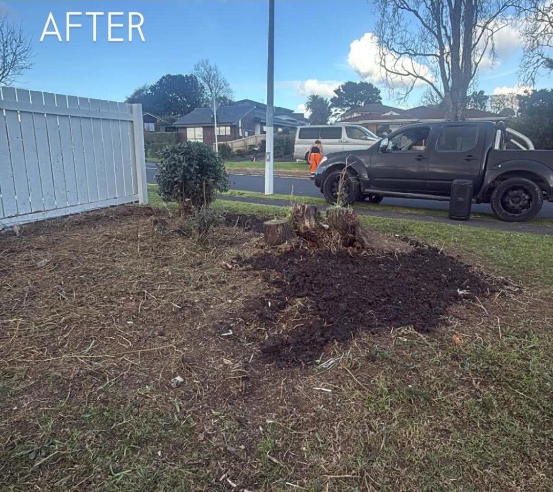 Verge Garden Bed Clearance — after professional lawn care by Tauwhare Lawn Care Services