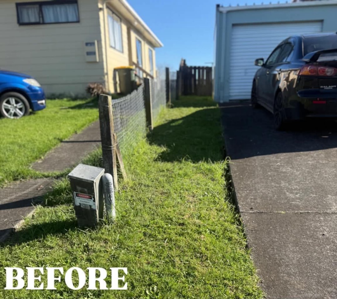 Driveway Strip Tidy — before lawn care work