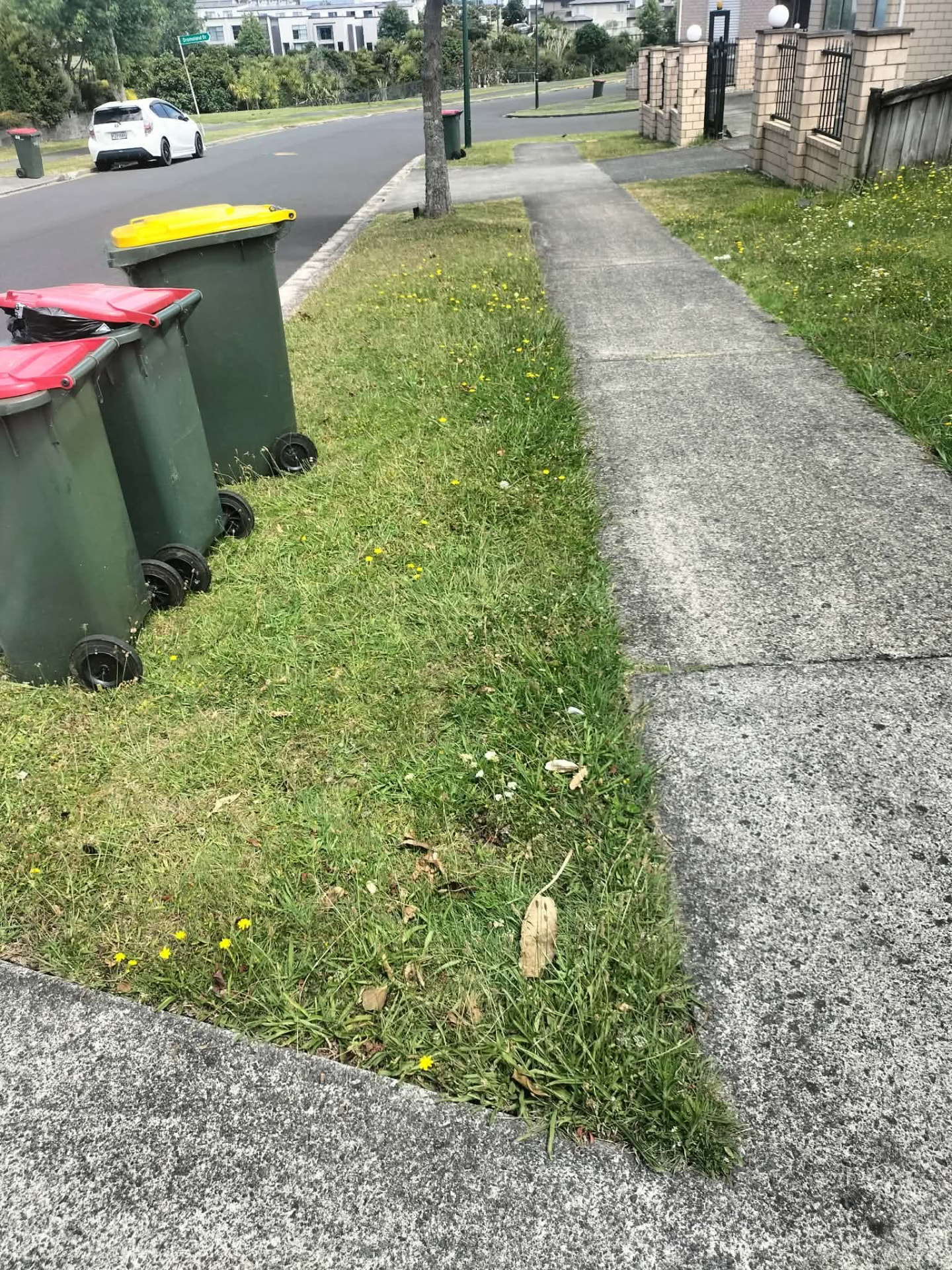 Footpath berm edging by Tauwhare Lawn Care Services