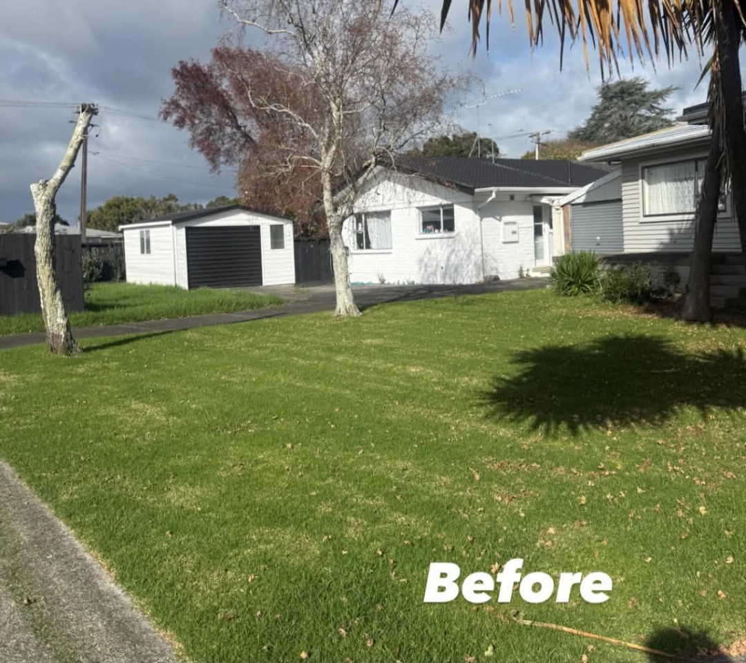 Front Lawn Mow & Tidy — before lawn care work