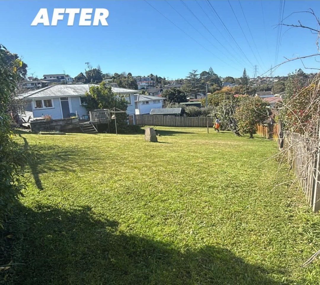 Large Rear Section Mow — after professional lawn care by Tauwhare Lawn Care Services