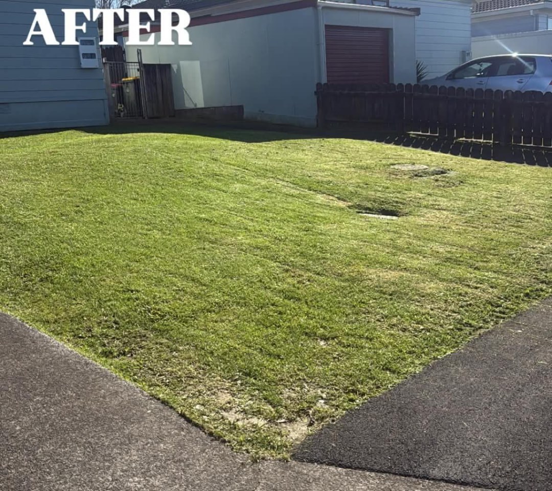 Front Yard Mow & Stripe — after professional lawn care by Tauwhare Lawn Care Services