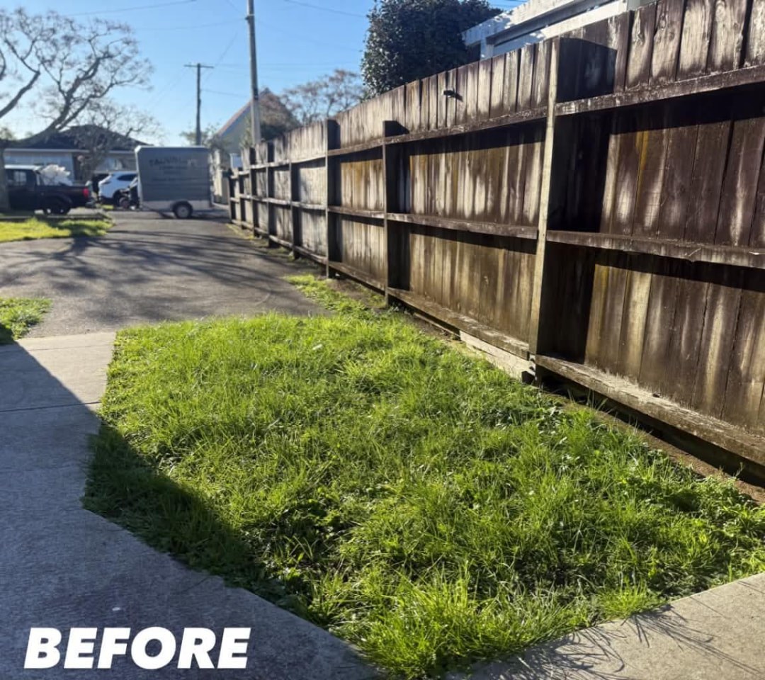 Footpath Strip Mow & Blow — before lawn care work