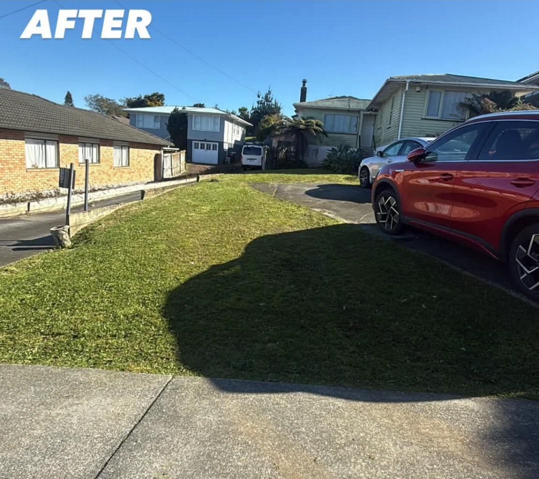Front Berm Mow — after professional lawn care by Tauwhare Lawn Care Services