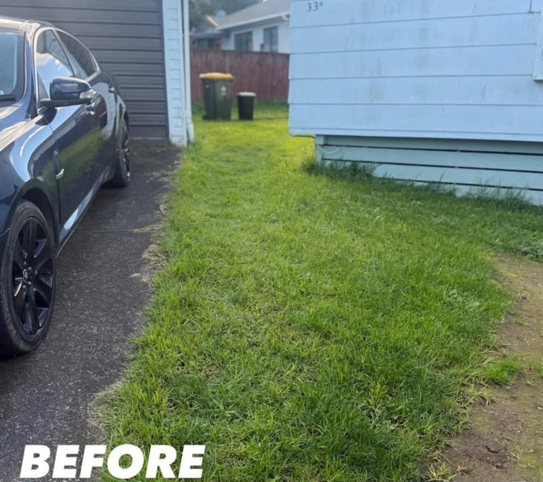 Side Lawn Mow — before lawn care work