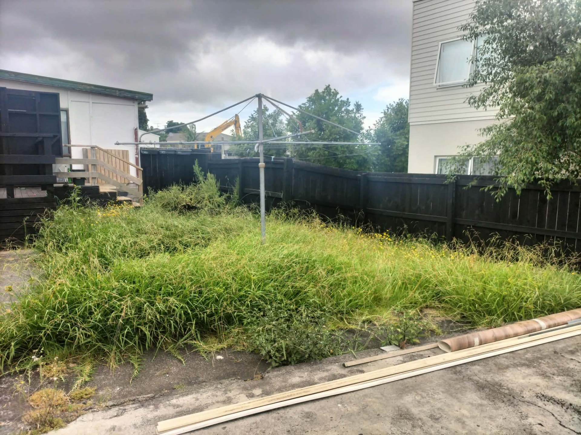 Overgrown backyard ready for a clean up by Tauwhare Lawn Care Services