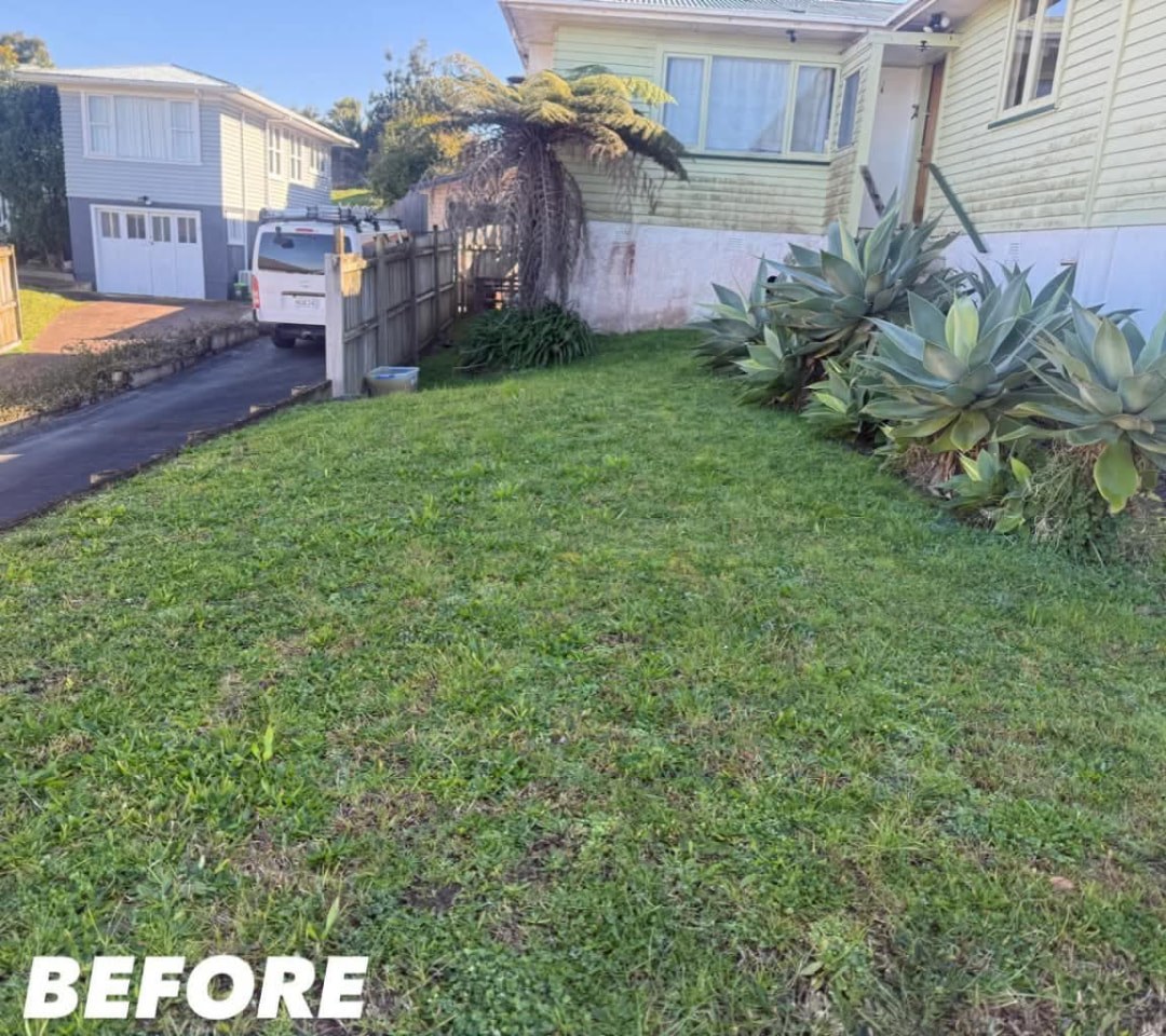 Driveway Slope Mow — before lawn care work