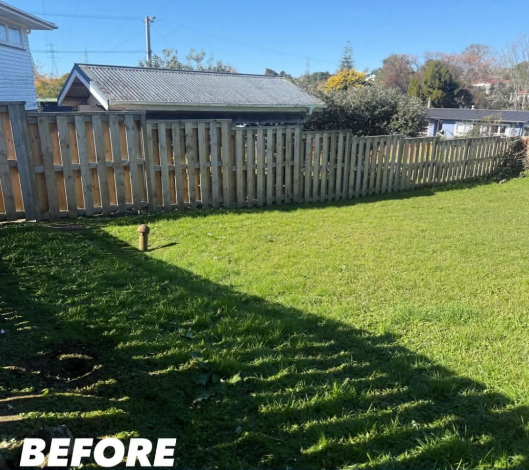 Boundary Fence Lawn Mow — before lawn care work