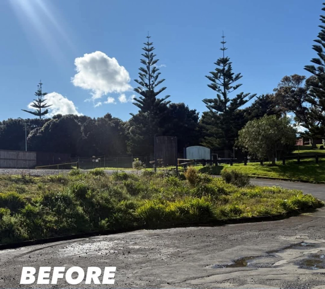 Park Entrance Clearance — before lawn care work