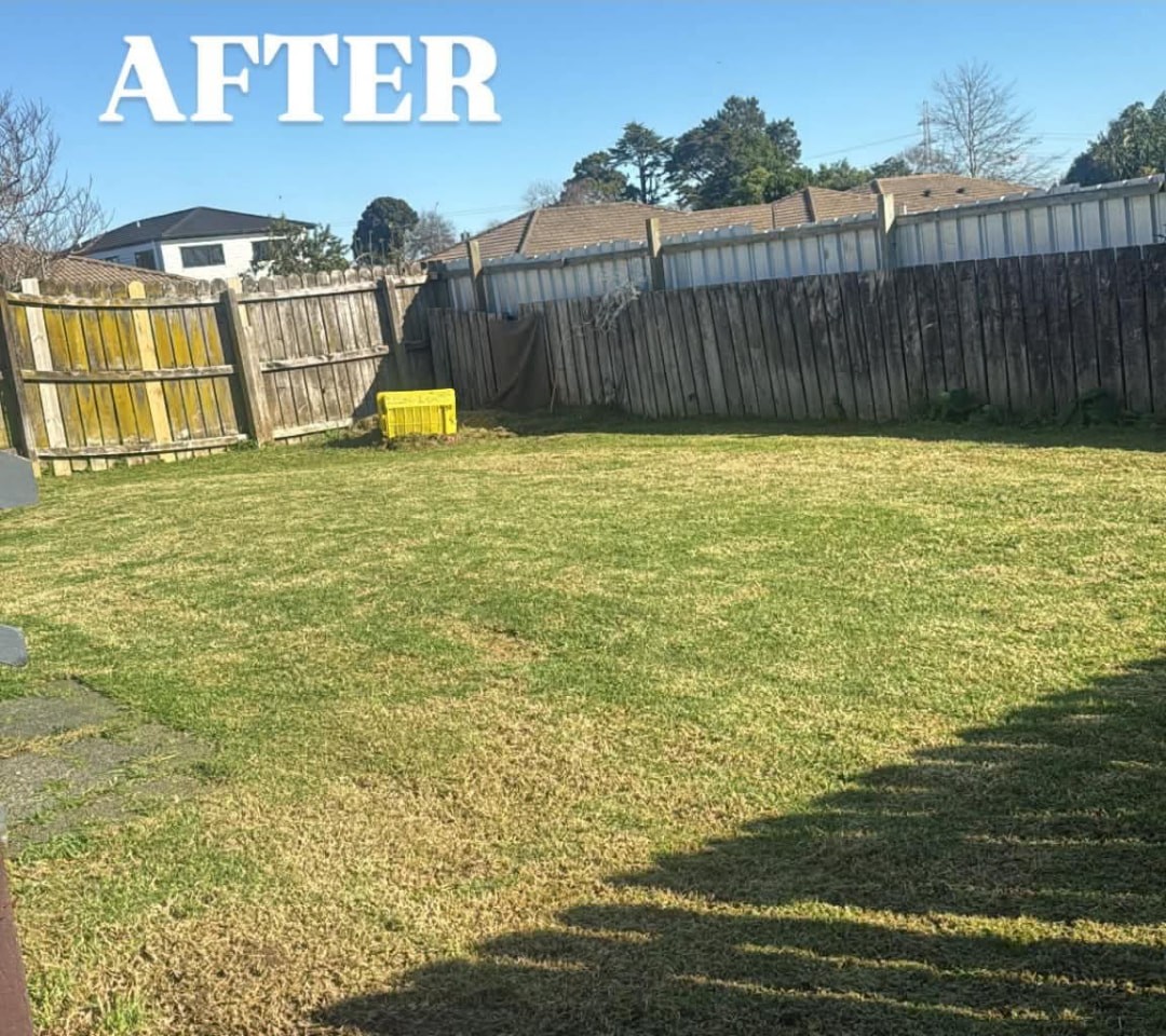 Backyard Lawn Cut — after professional lawn care by Tauwhare Lawn Care Services