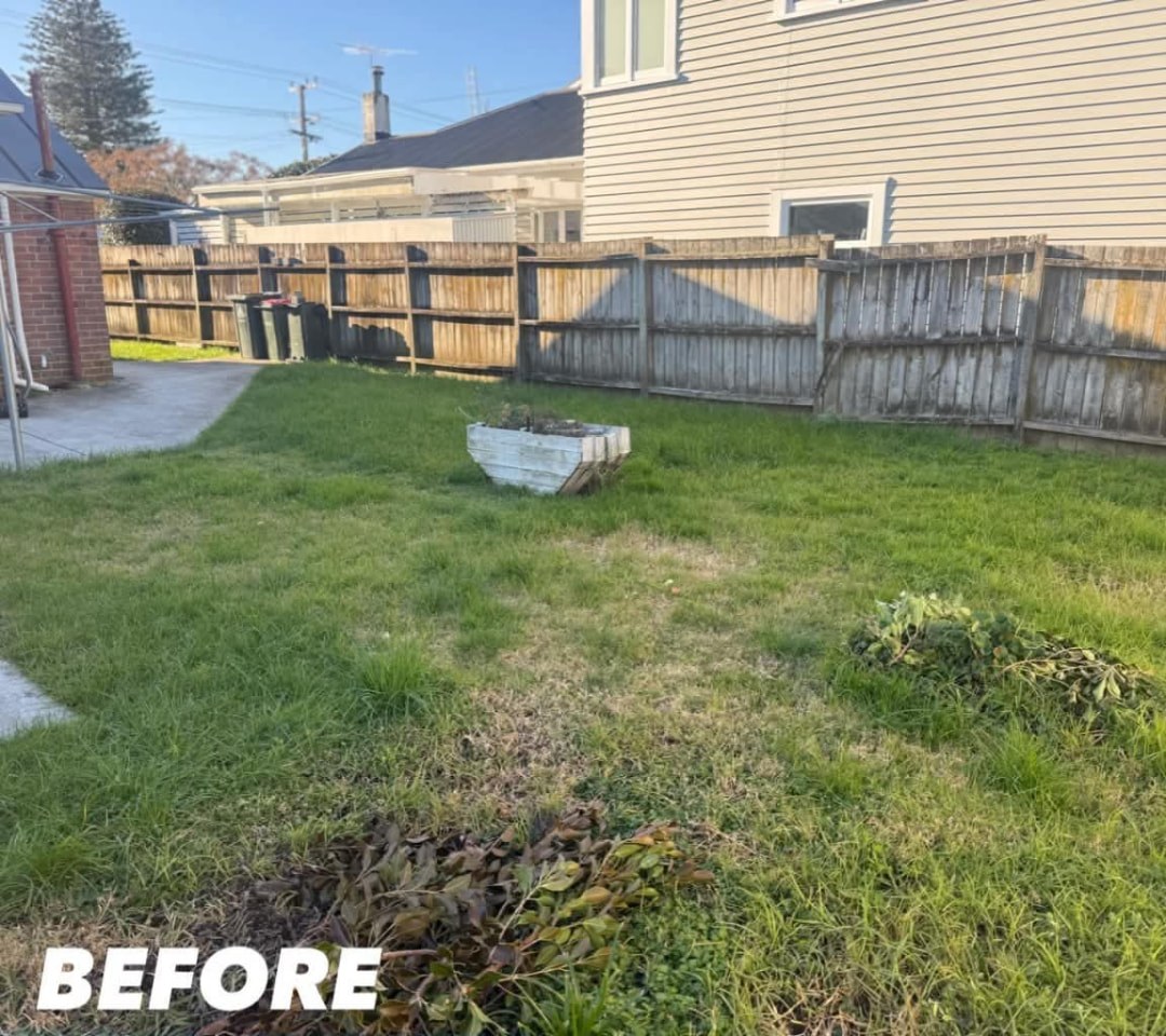 Villa Backyard Clean Up — before lawn care work
