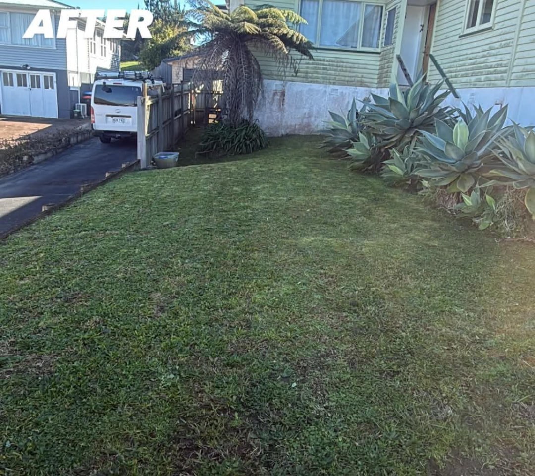 Driveway Slope Mow — after professional lawn care by Tauwhare Lawn Care Services