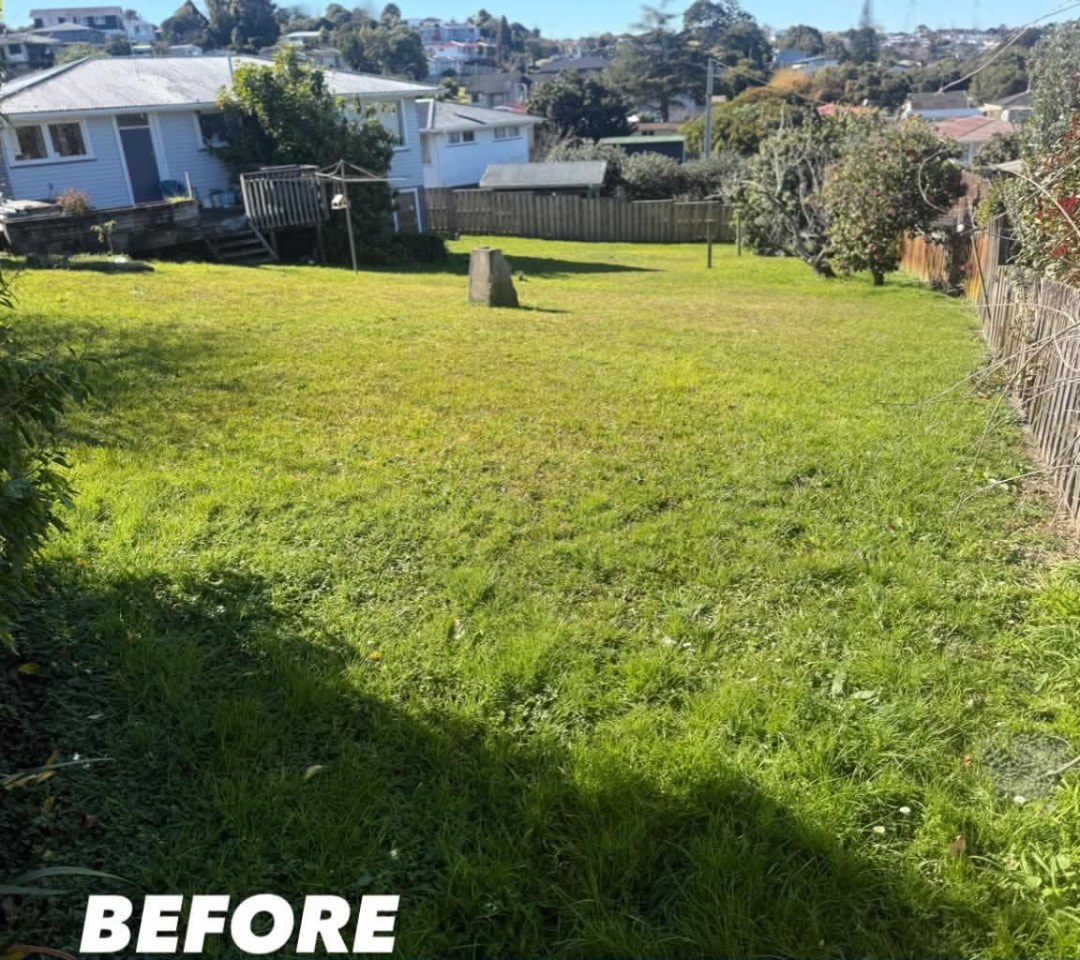 Large Rear Section Mow — before lawn care work