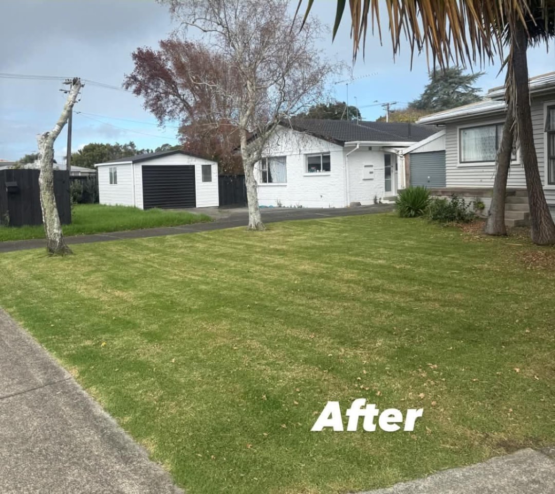 Front Lawn Mow & Tidy — after professional lawn care by Tauwhare Lawn Care Services